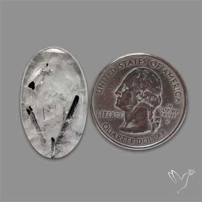 Black Tourmalinated Quartz Cabochon