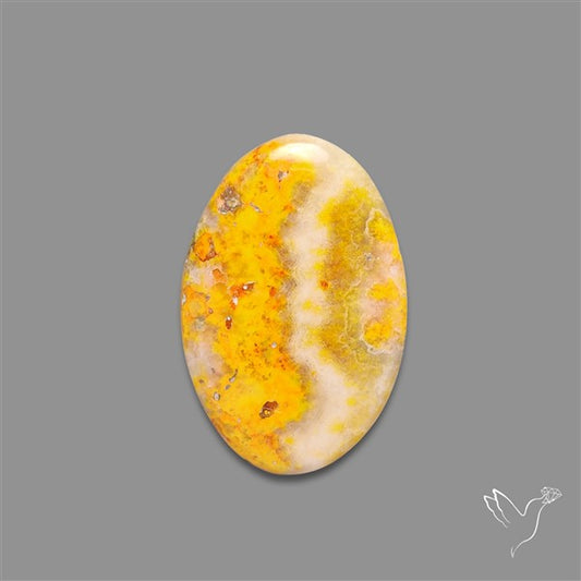 Bumble Bee Jasper Cabochon