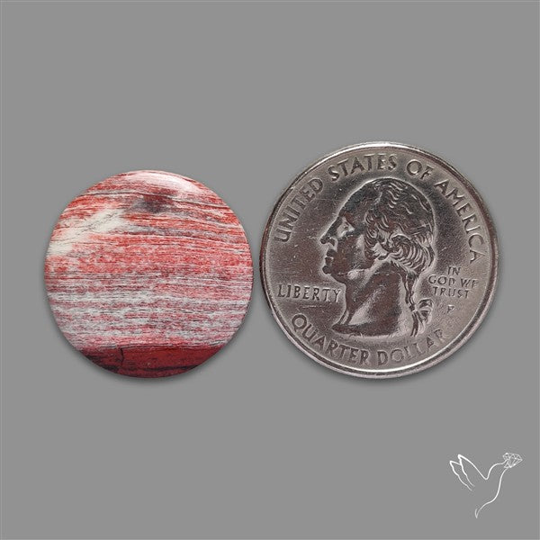 Snakeskin Jasper Cabochon