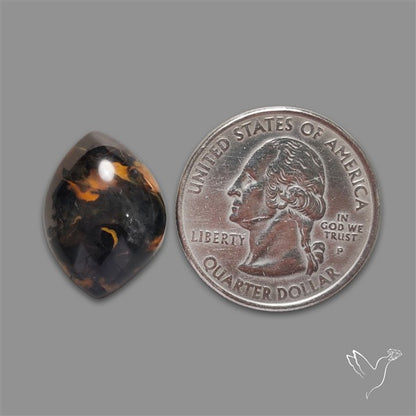 Brazilian Dendritic Quartz Cabochon Gemstone