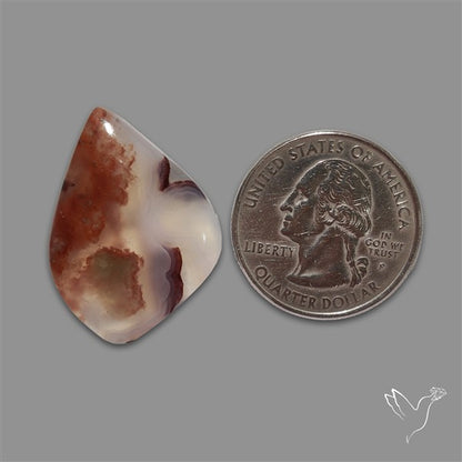 Aqua Chrysoprase Cabochon