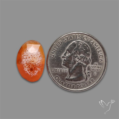 Rose Cut Mexican Opal