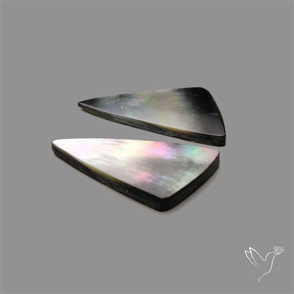 Tahitian Mother Of Pearl Pair