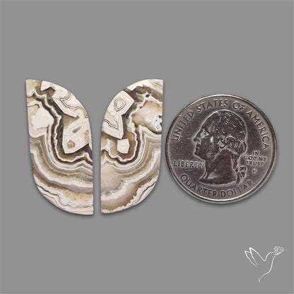 Crazylace Agate Pair