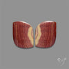 Red Jasper Pair