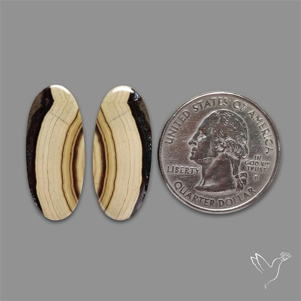 Schalenblende Pair