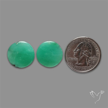 Gemmy Chrysoprase Pair
