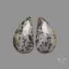 Rose Cut Dendritic Opal Pair