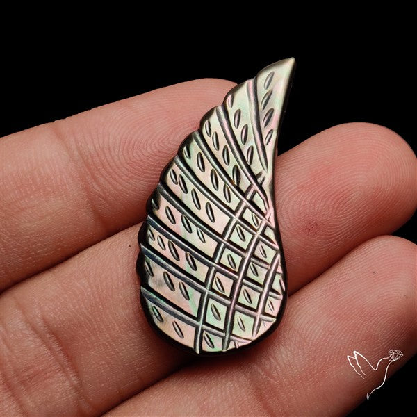 Tahitian Mother Of Pearl Wing