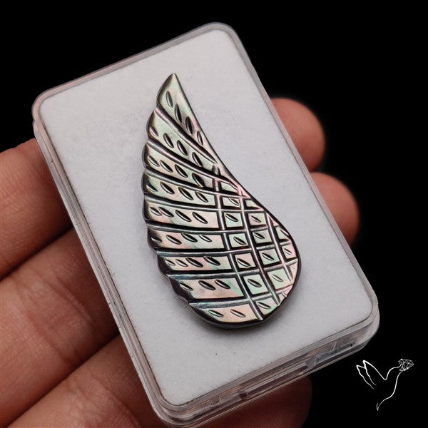 Tahitian Mother Of Pearl Wing