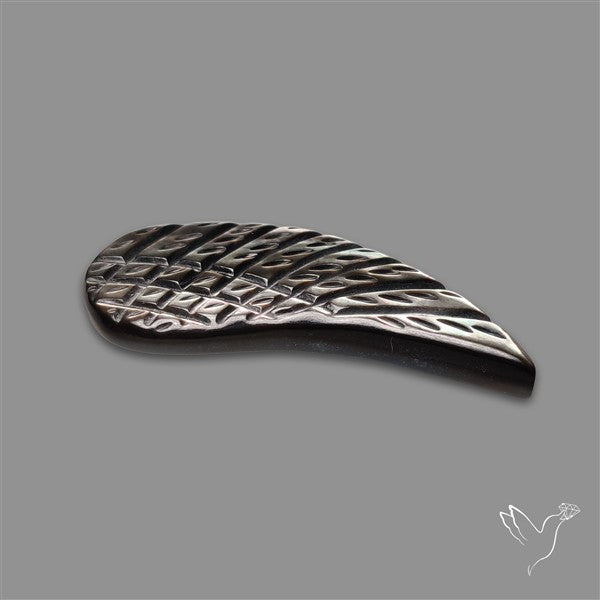 Tahitian Mother Of Pearl Wing