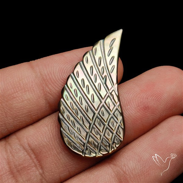 Tahitian Mother Of Pearl Wing