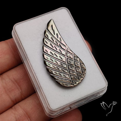 Tahitian Mother Of Pearl Wing
