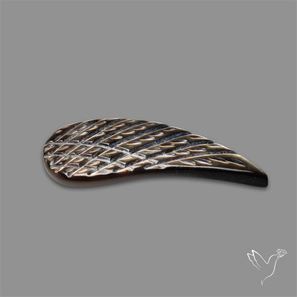 Tahitian Mother Of Pearl Wing