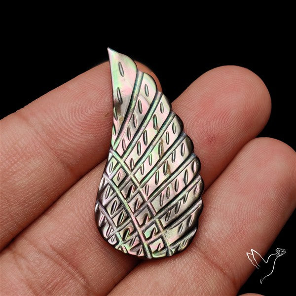 Tahitian Mother Of Pearl Wing