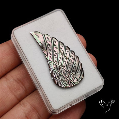 Tahitian Mother Of Pearl Wing