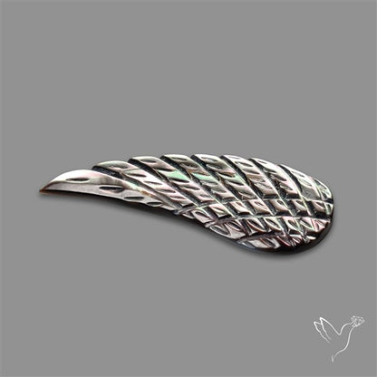 Tahitian Mother Of Pearl Wing
