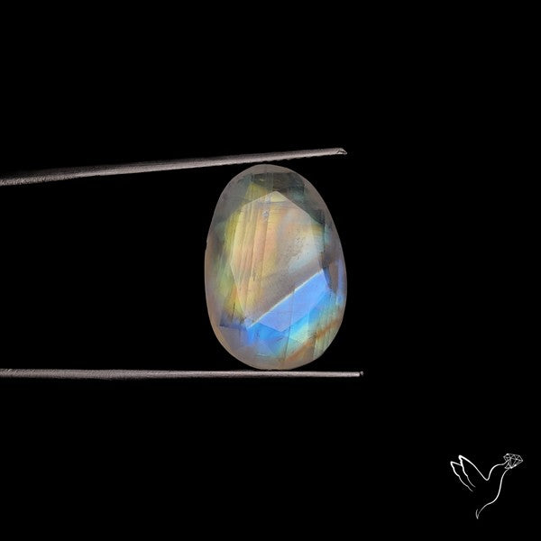 Rose Cut Faceted Rainbow Moonstone
