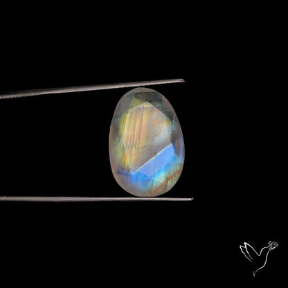 Rose Cut Faceted Rainbow Moonstone