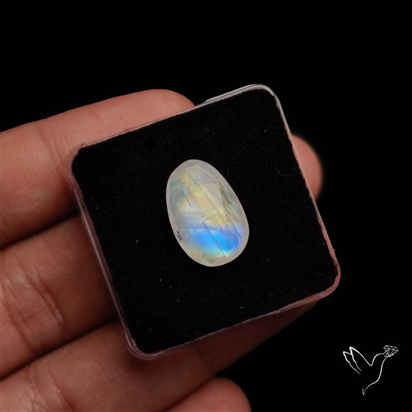 Rose Cut Faceted Rainbow Moonstone