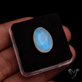 Rose Cut Faceted Rainbow Moonstone