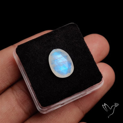 Rose Cut Faceted Rainbow Moonstone