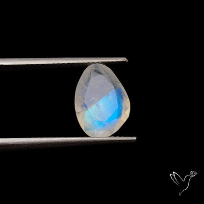 Rose Cut Faceted Rainbow Moonstone