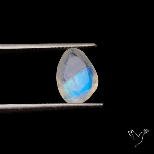 Rose Cut Faceted Rainbow Moonstone