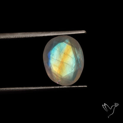 Rose Cut Faceted Rainbow Moonstone