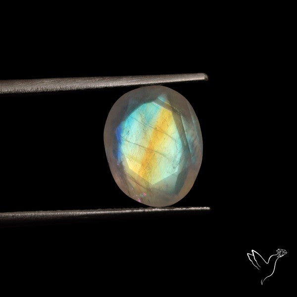 Rose Cut Faceted Rainbow Moonstone