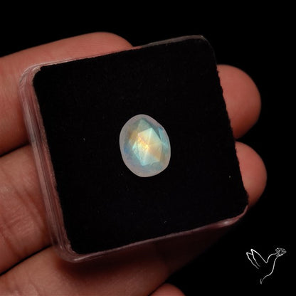 Rose Cut Faceted Rainbow Moonstone