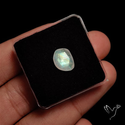 Rose Cut Faceted Rainbow Moonstone