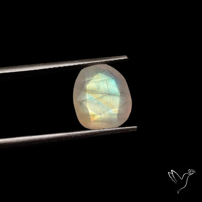 Rose Cut Faceted Rainbow Moonstone