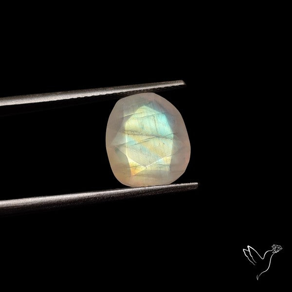 Rose Cut Faceted Rainbow Moonstone