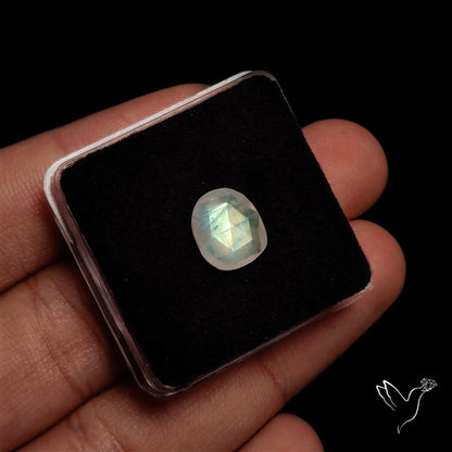 Rose Cut Faceted Rainbow Moonstone