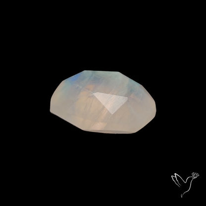 Rose Cut Faceted Rainbow Moonstone