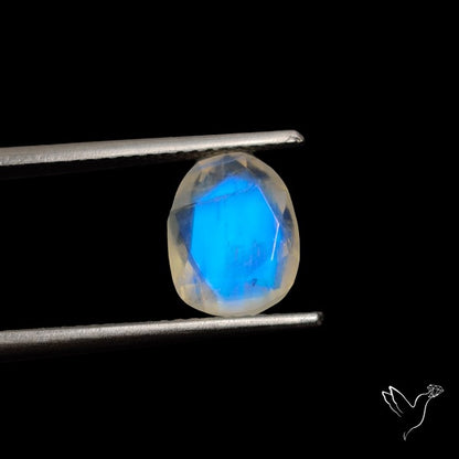 Rose Cut Faceted Rainbow Moonstone