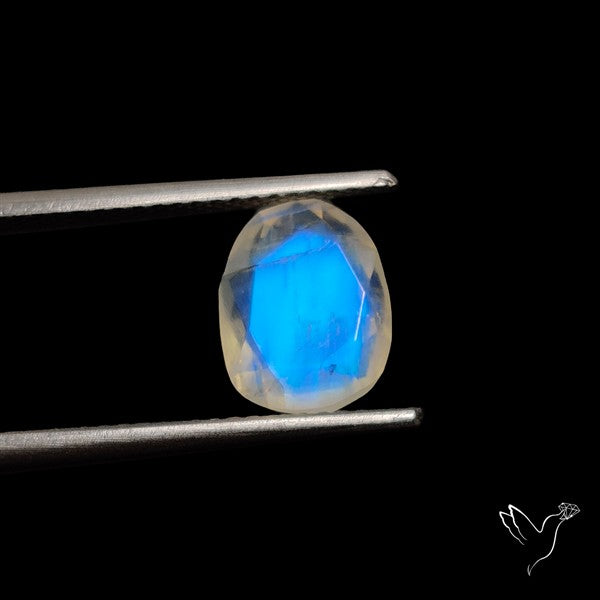 Rose Cut Faceted Rainbow Moonstone