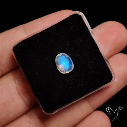 Rose Cut Faceted Rainbow Moonstone
