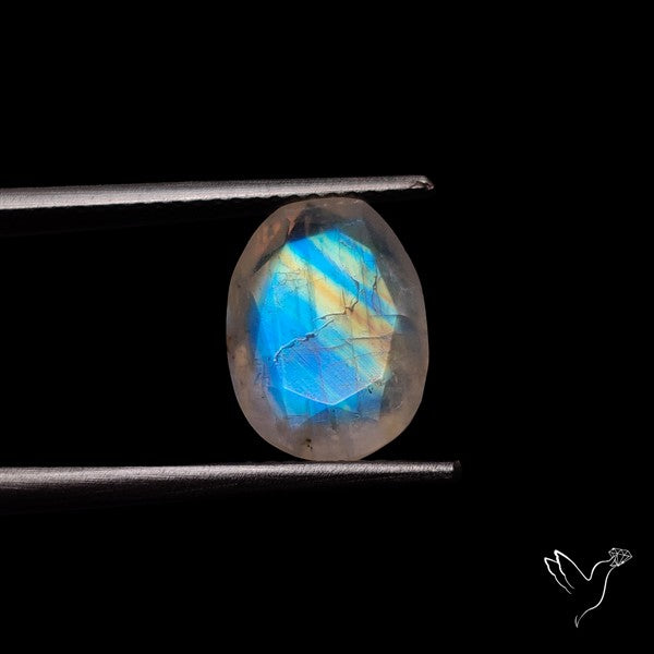 Rose Cut Faceted Rainbow Moonstone
