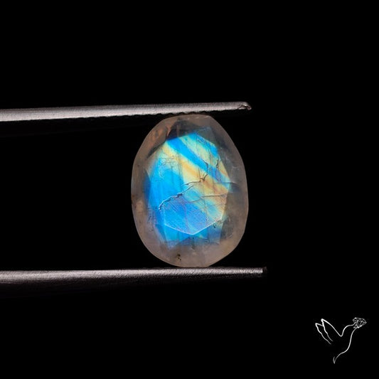 Rose Cut Faceted Rainbow Moonstone
