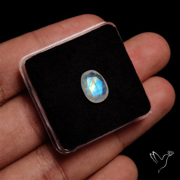 Rose Cut Faceted Rainbow Moonstone