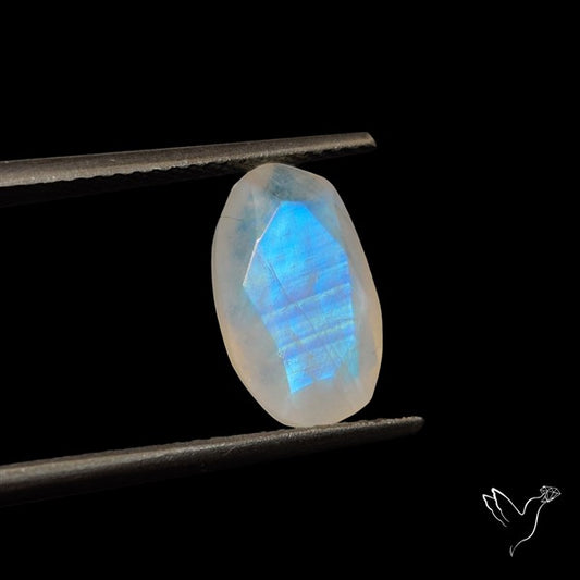 Rose Cut Faceted Rainbow Moonstone