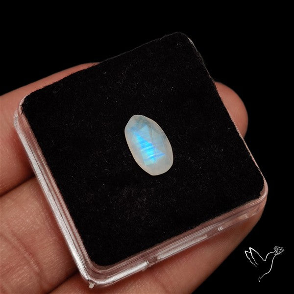 Rose Cut Faceted Rainbow Moonstone