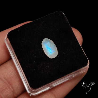 Rose Cut Faceted Rainbow Moonstone