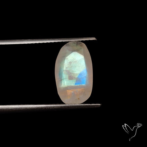 Rose Cut Faceted Rainbow Moonstone