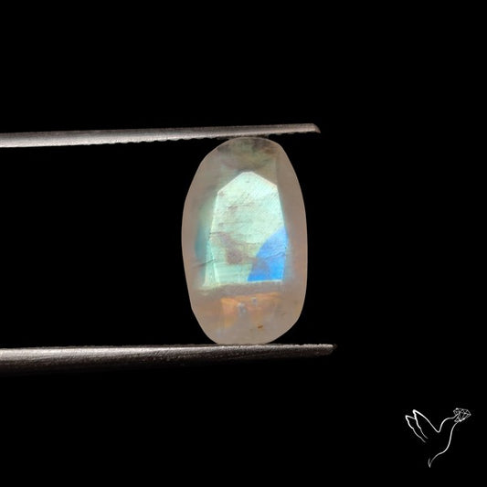Rose Cut Faceted Rainbow Moonstone