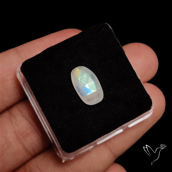Rose Cut Faceted Rainbow Moonstone