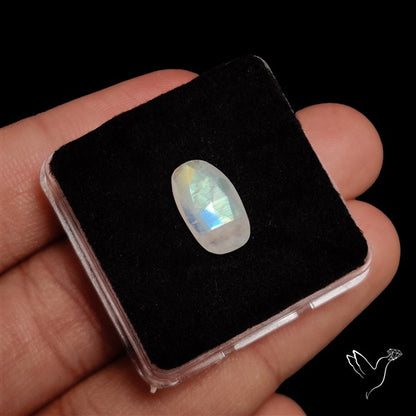 Rose Cut Faceted Rainbow Moonstone