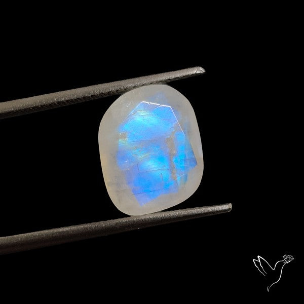Rose Cut Faceted Rainbow Moonstone